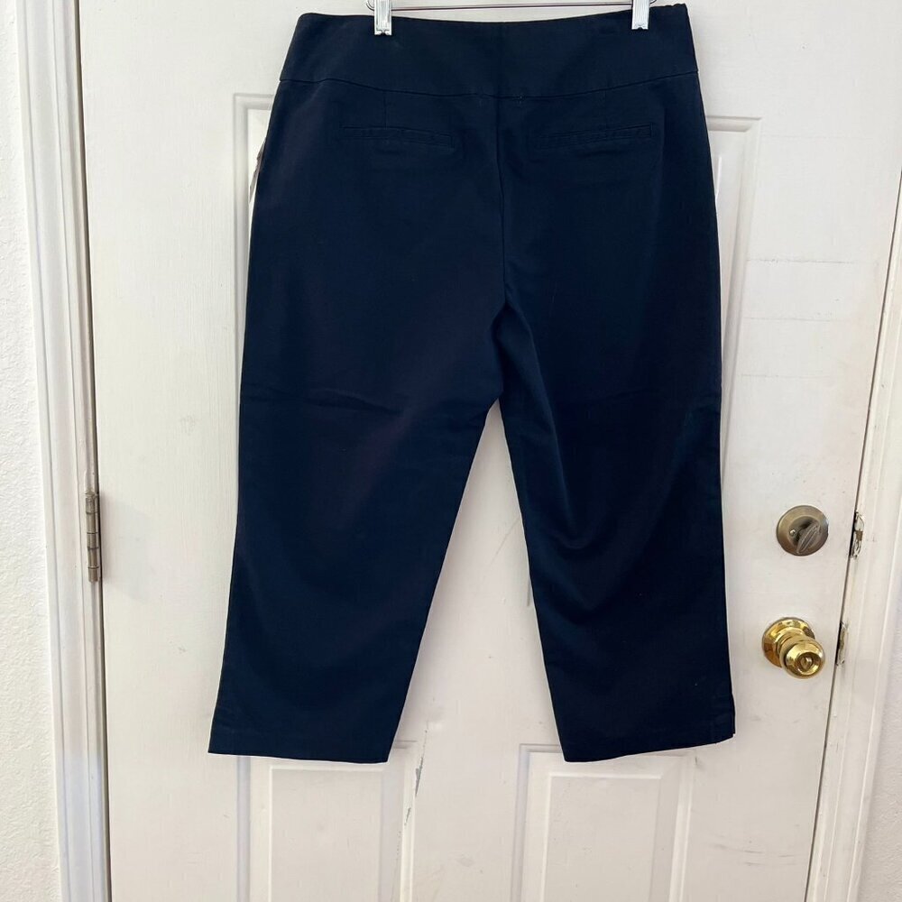 Fresh Produce Woman's Black Sophia Stretch Sophia Capri Sz Lr - Picture 4 of 6